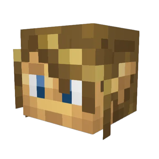 Mr_Socks86 Minecraft avatar head, 3D render