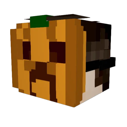 Mr_Soundtrack Minecraft avatar head, 3D render