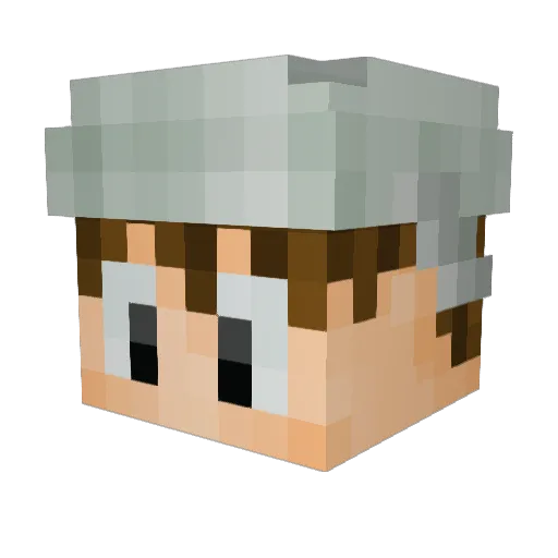 Mr_Speedway Minecraft avatar head, 3D render