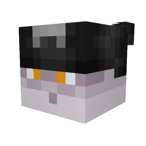 Mr_Spike Minecraft avatar head, 3D render