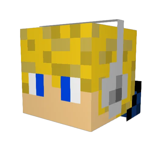 Mr_Spinne1 Minecraft avatar head, 3D render