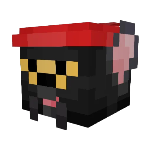 Mr_Squigles47 Minecraft avatar head, 3D render