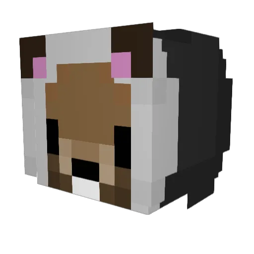Mr_Squirrel26 Minecraft avatar head, 3D render