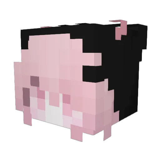 Minecraft-Avatar von Mr_Stok: Kopf als 3D-Render