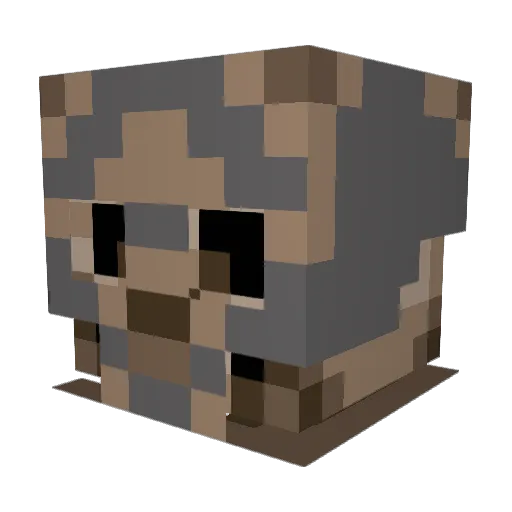 Mr_Stone19 Minecraft avatar head, 3D render