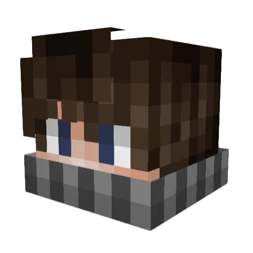 Mr_Sunnyz Minecraft avatar head, 3D render
