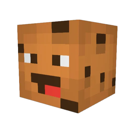 Mr_SuperCookie Minecraft avatar head, 3D render