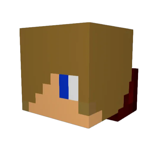 Mr_Swagg10 Minecraft avatar head, 3D render