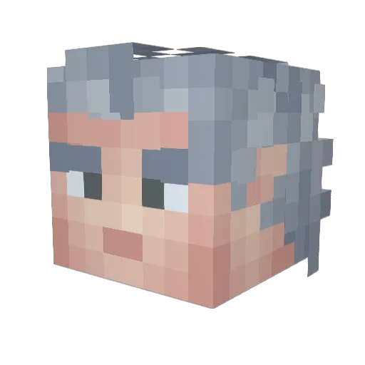 Mr_SwearBear Minecraft avatar head, 3D render