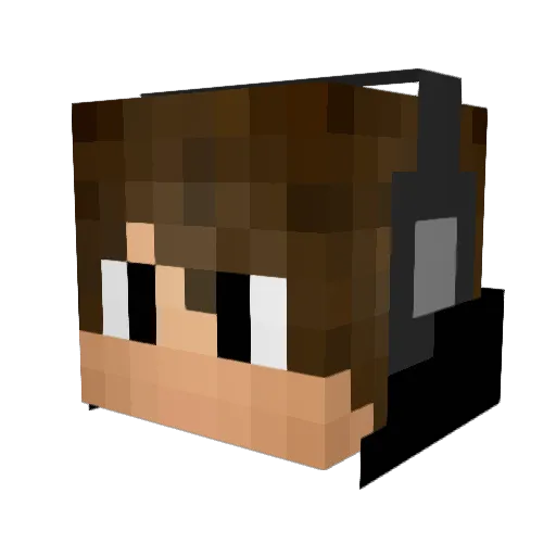 Mr_TELEPORTAGE Minecraft avatar head, 3D render