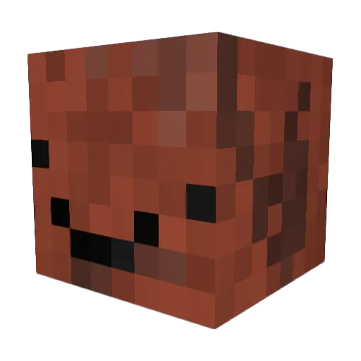 Mr_TallyMan69 Minecraft avatar head, 3D render