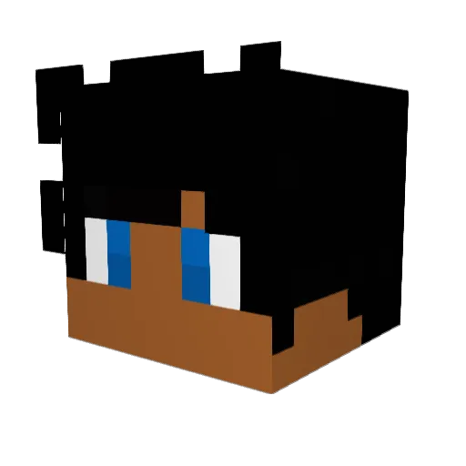 Mr_Tatsu0 Minecraft avatar head, 3D render