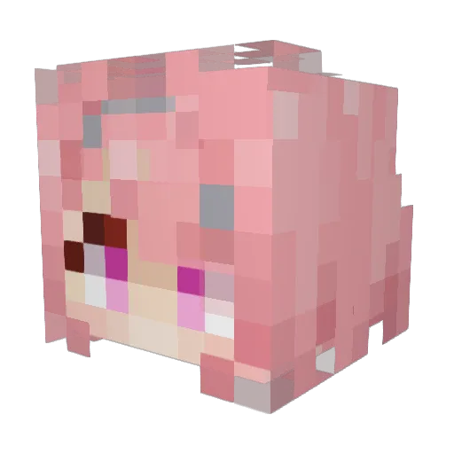 Mr_Tentidruls Minecraft avatar head, 3D render