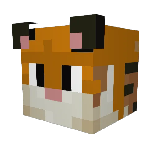 Mr_Tigerr Minecraft avatar head, 3D render