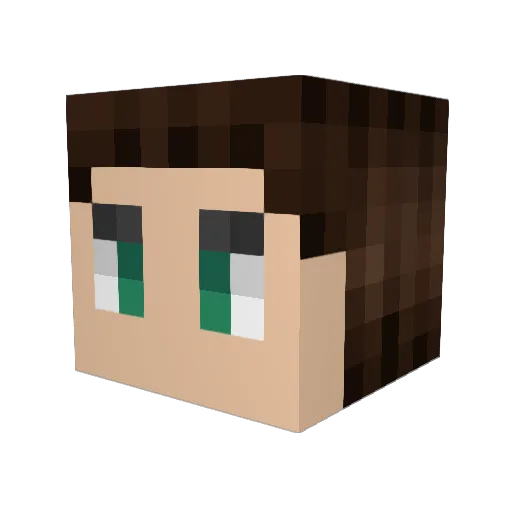 Mr_Timbo Minecraft avatar head, 3D render