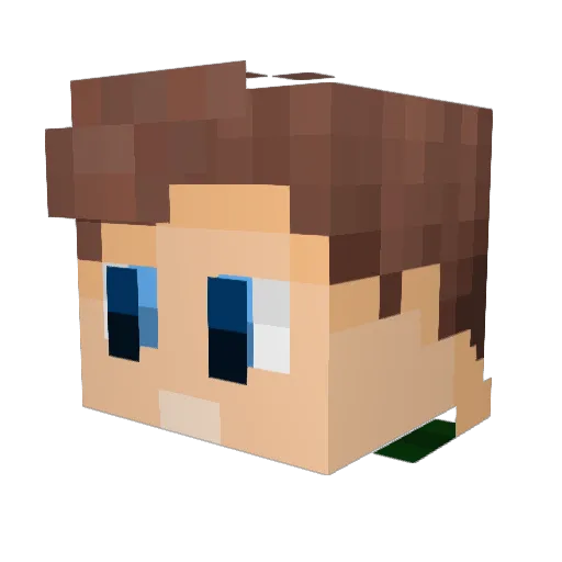 Mr_Toad0 Minecraft avatar head, 3D render