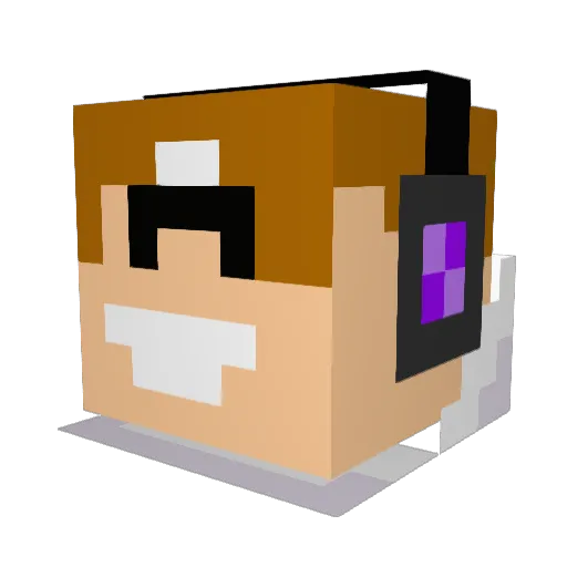 Mr_TotoroG Minecraft avatar head, 3D render