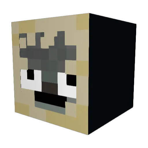 Mr_Tuff_YT Minecraft avatar head, 3D render