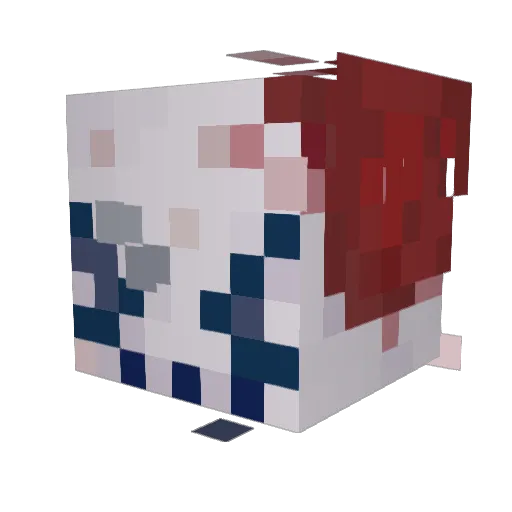 Mr_Unknown1256 Minecraft avatar head, 3D render