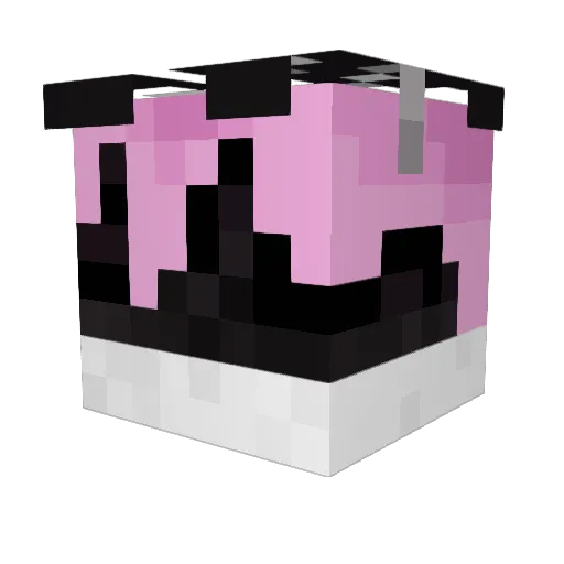 Mr_Vain_ Minecraft avatar head, 3D render