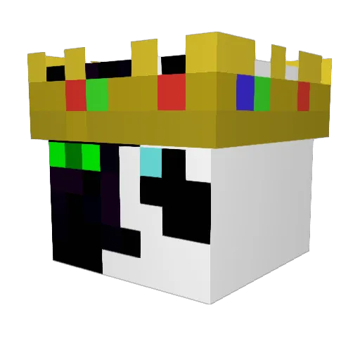 Mr_VibingPanda77 Minecraft avatar head, 3D render
