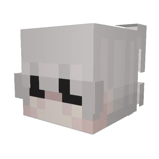 Mr_Volty Minecraft avatar head, 3D render