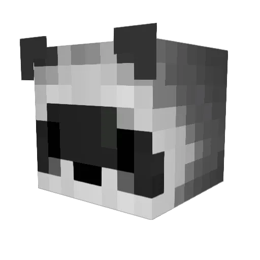 Mr_Waschbaer Minecraft avatar head, 3D render