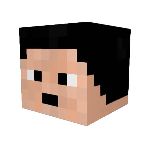 Mr_Wash Minecraft avatar head, 3D render