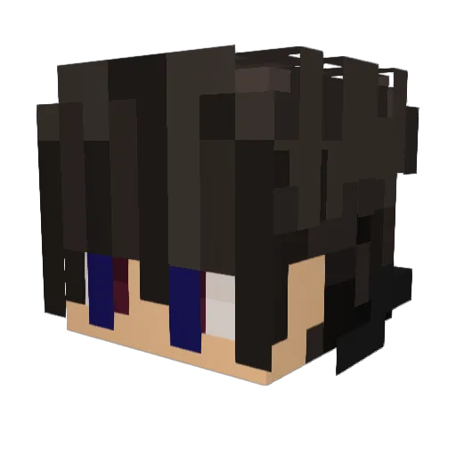 Mr_Wheezer Minecraft avatar head, 3D render