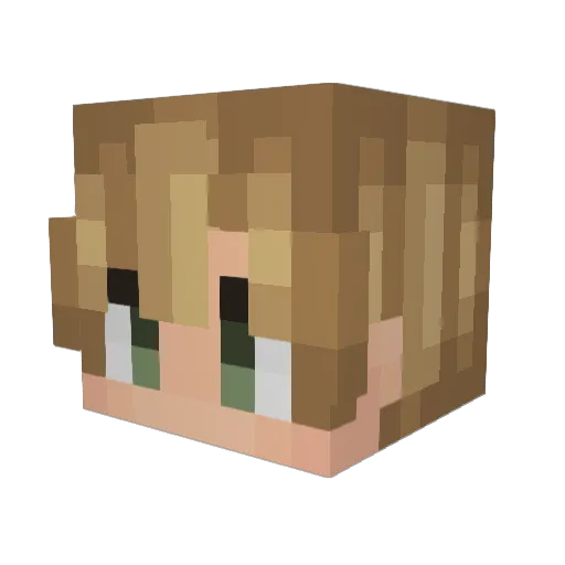 Mr_Whiteout Minecraft avatar head, 3D render