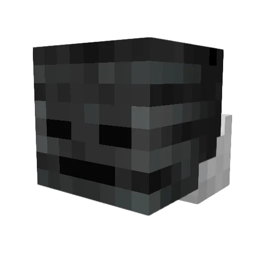 Mr_Wither_27 Minecraft avatar head, 3D render