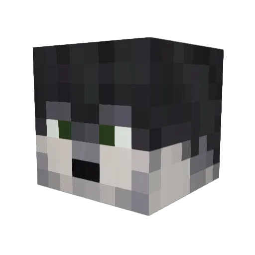 Mr_Wolft0 Minecraft avatar head, 3D render