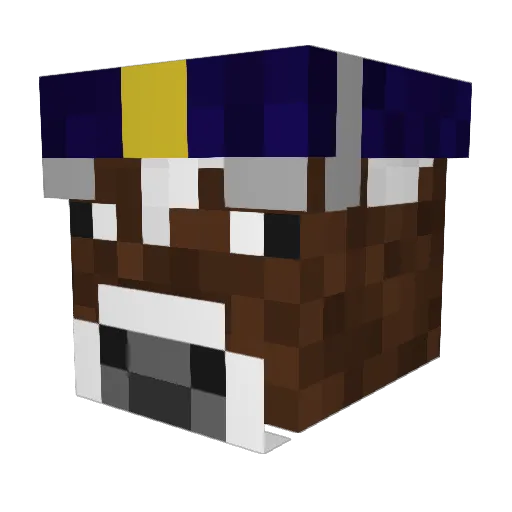 Mr_WonderKid Minecraft avatar head, 3D render