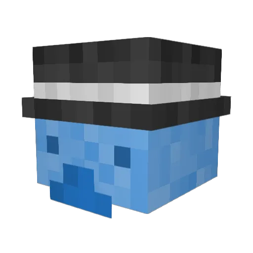 Mr_Worldwide709 Minecraft avatar head, 3D render