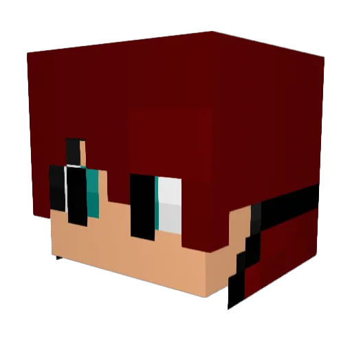 Mr_Worry Minecraft avatar head, 3D render
