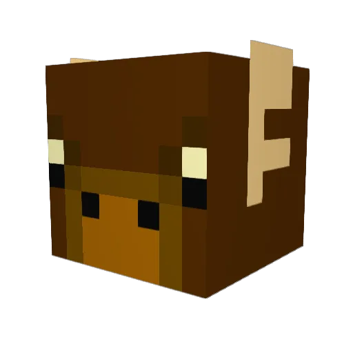 Mr__Ducky Minecraft avatar head, 3D render