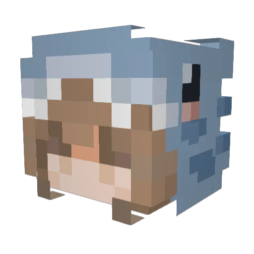 Mr__Enyx Minecraft avatar head, 3D render