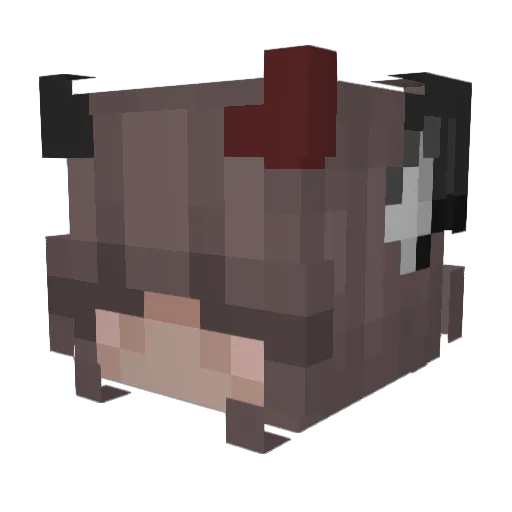 Mr__Lama1 Minecraft avatar head, 3D render