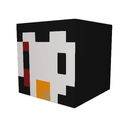 Mr__Pinguu Minecraft avatar head, 3D render