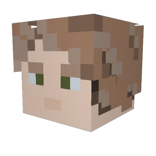 Mr__Pres1dent Minecraft avatar head, 3D render