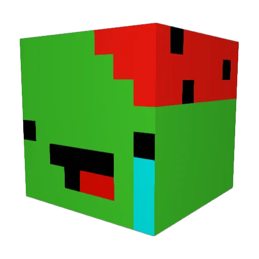 Mr__Watermelon Minecraft avatar head, 3D render