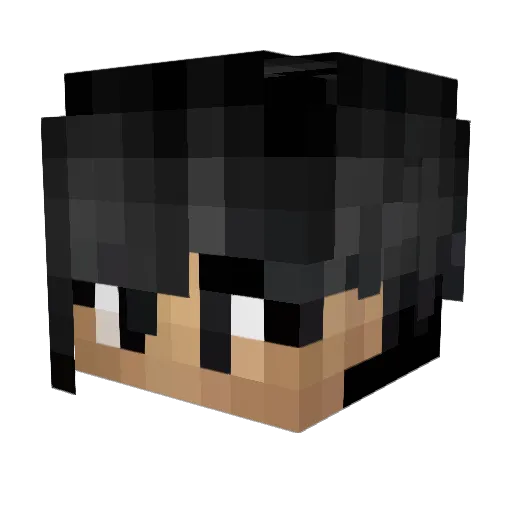 Mr___Tartar Minecraft avatar head, 3D render