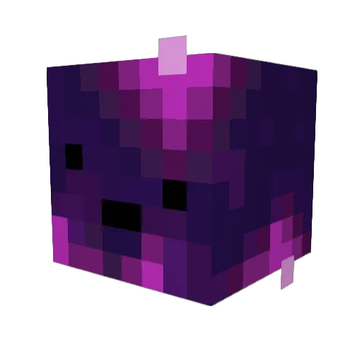 Mr_cheese088 Minecraft avatar head, 3D render