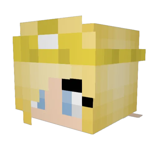 Mr_ddoung Minecraft avatar head, 3D render
