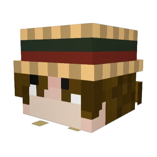 Mr_floppy1 Minecraft avatar head, 3D render