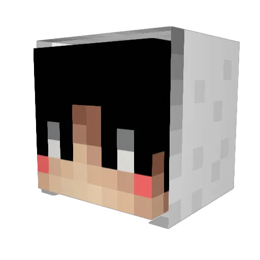 Mr_flour Minecraft avatar head, 3D render