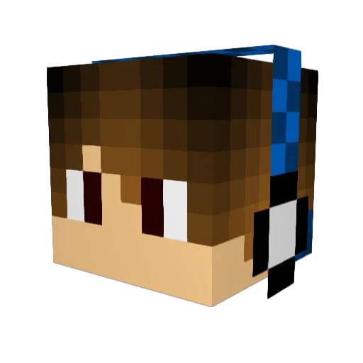 Mr_gaming1000 Minecraft avatar head, 3D render