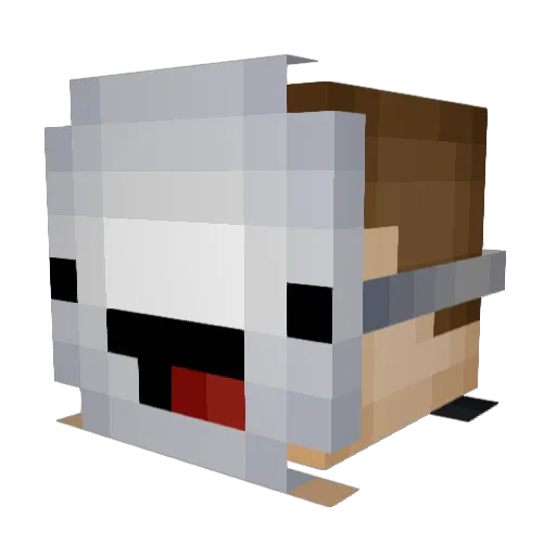 Mr_kreboll Minecraft avatar head, 3D render