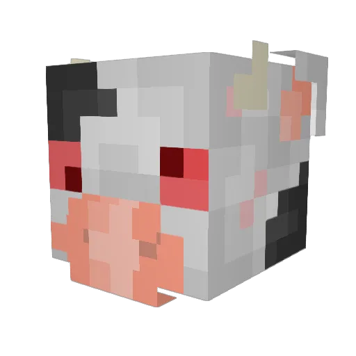Mr_m1lo Minecraft avatar head, 3D render