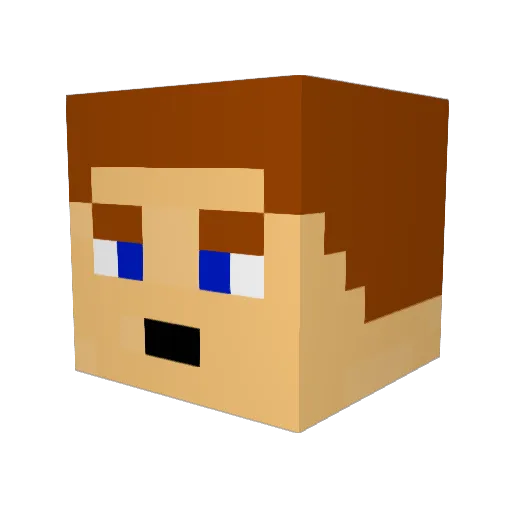 Mr_multidog67 Minecraft avatar head, 3D render